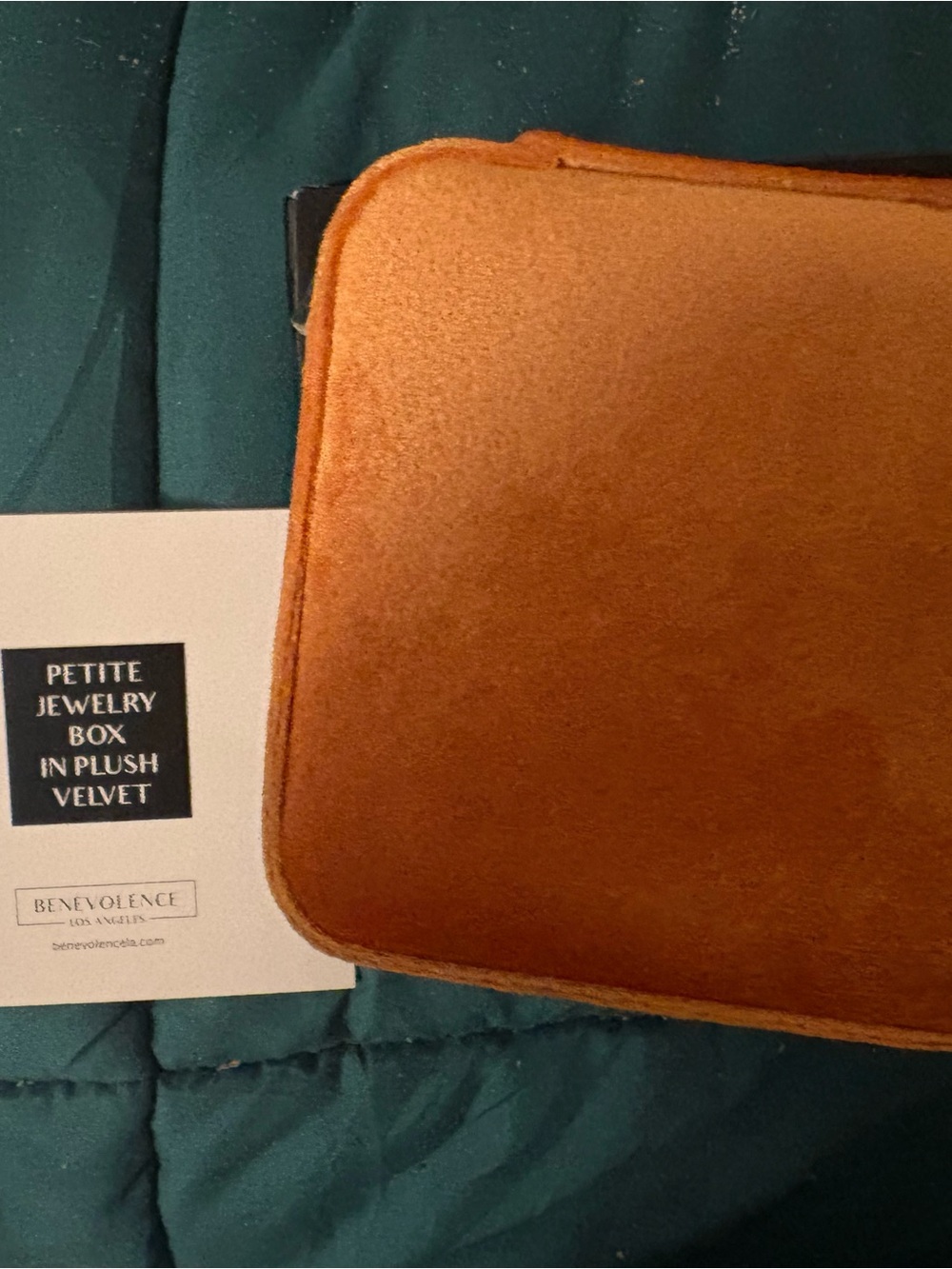 Plush Velvet Toiletry Bag - Burnt Orange